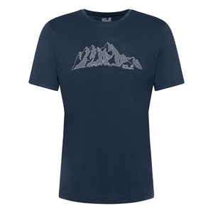 -T0478 new mountain midnight sky