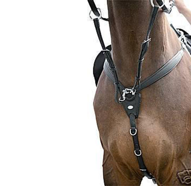 Kieffer Vorderzeug Jessica Schwarz Warmblut 