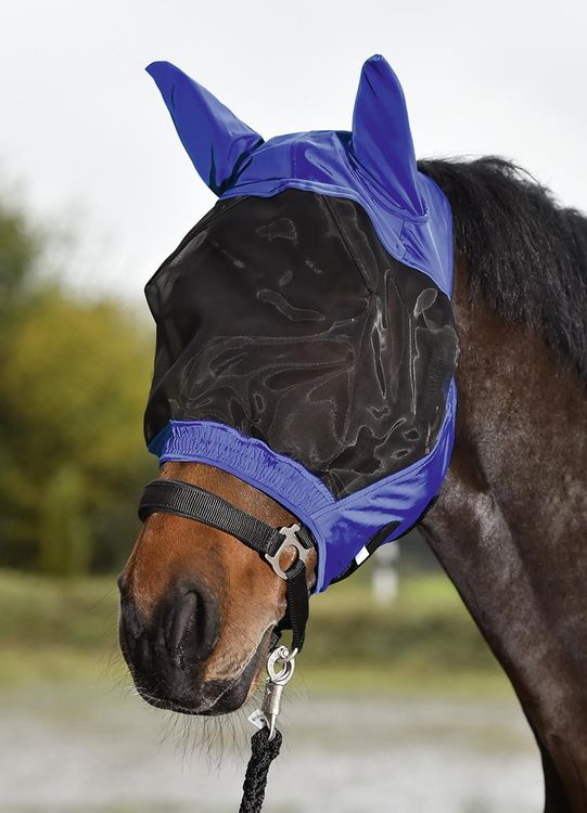 Busse Fliegenmaske Fly Buckler in Royalblau und Schwarz
