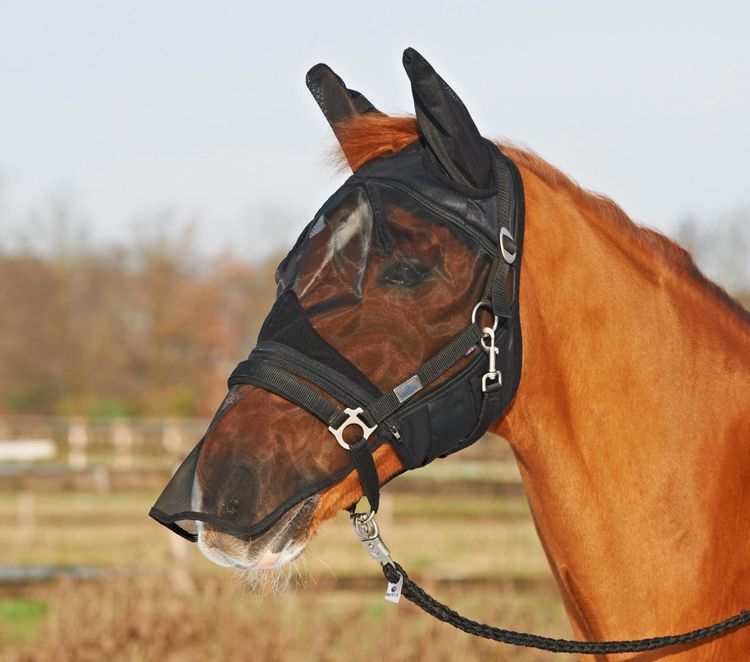 Busse Fliegenmaske FLY Protector Schwarz