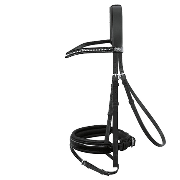 Passier Trense Apollo Lackleder havanna mit Messing oder Edelstahl