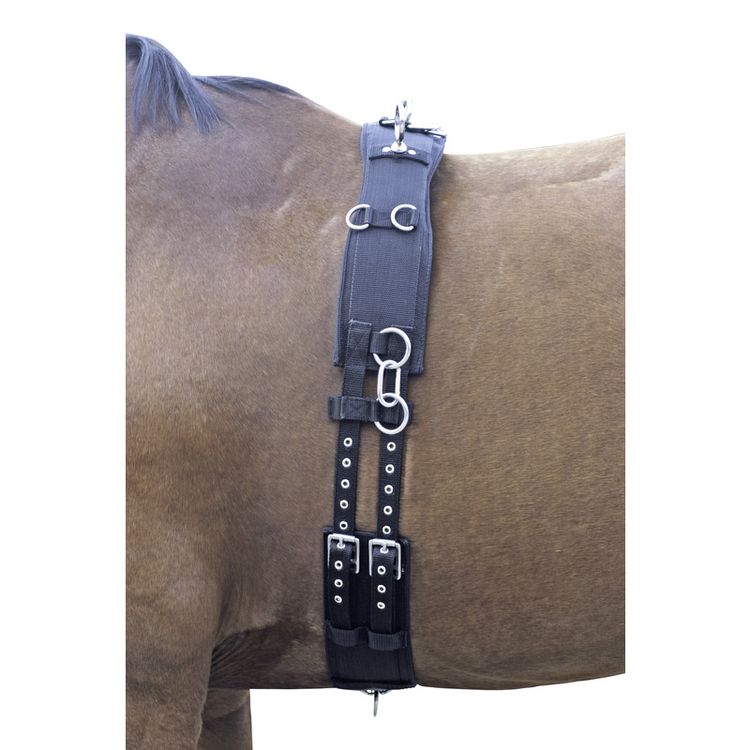 Euroriding Nylon Longiergurt in Warmblut