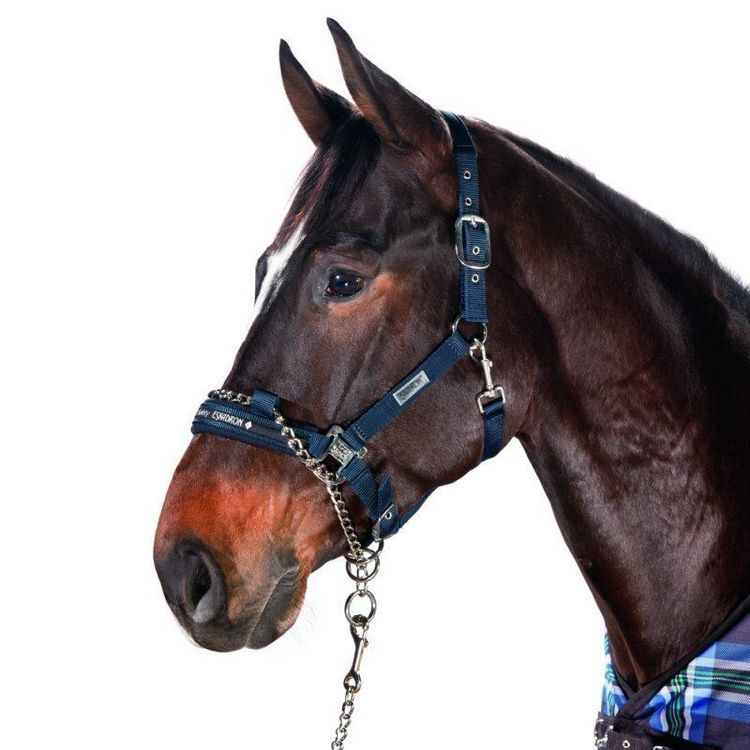 ESKADRON Halfter Control 2-in-1 Halfter in navy & black