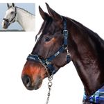 ESKADRON Halfter Control 2-in-1 Halfter in navy & black