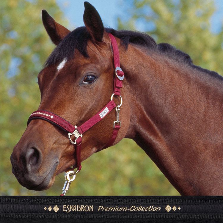 ESKADRON Halfter Premium-Collection in black
