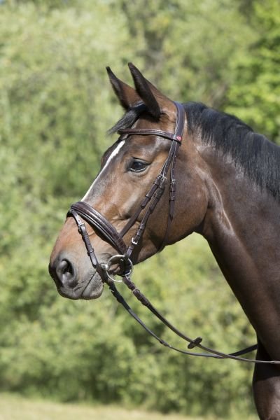 Kieffer Trense Eileen mit Vintage-Optik und Chrom Beschläge
