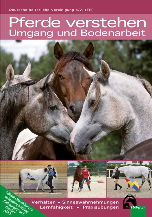 Pferde verstehen - Umgang und Bodenarbeit / FN Verlag