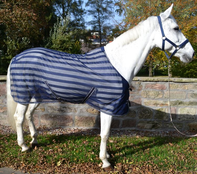 Garizelle Fliegendecke in navy