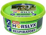 Derby Leckmasse Horslyx Colour Edition