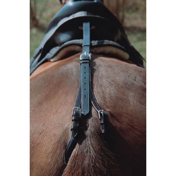 Euroriding Schweif-Sattelriemen
