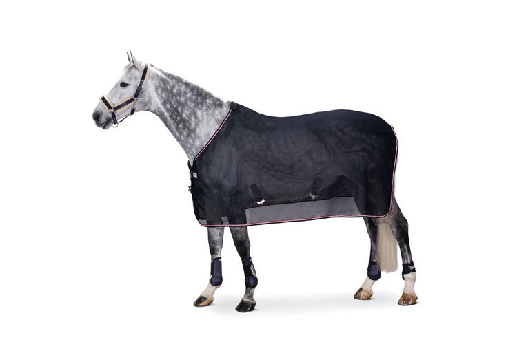 Eskadron New Basic Fliegendecke Mesh Dura Navy-Chilli