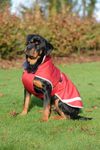 Bucas Freedom Hundedecke 50g verschiedene Farben
