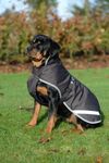 Bucas Freedom Hundedecke 300g verschiedene Farben