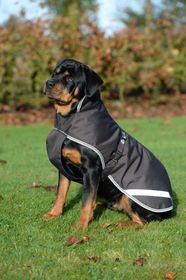 Bucas Freedom Hundedecke 300g verschiedene Farben