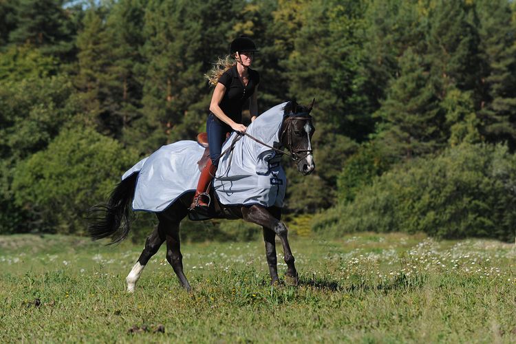 Bucas Buzz-Off Riding Blue