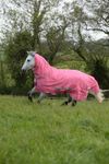 Bucas Freedom Fly Sheet F/N Classic Green und Hot Pink FS 2020