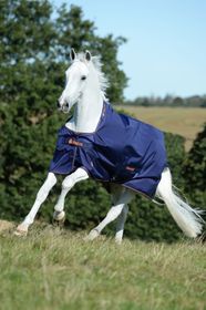 Bucas Therapy Turnout Decke 150g Navy/ Orange