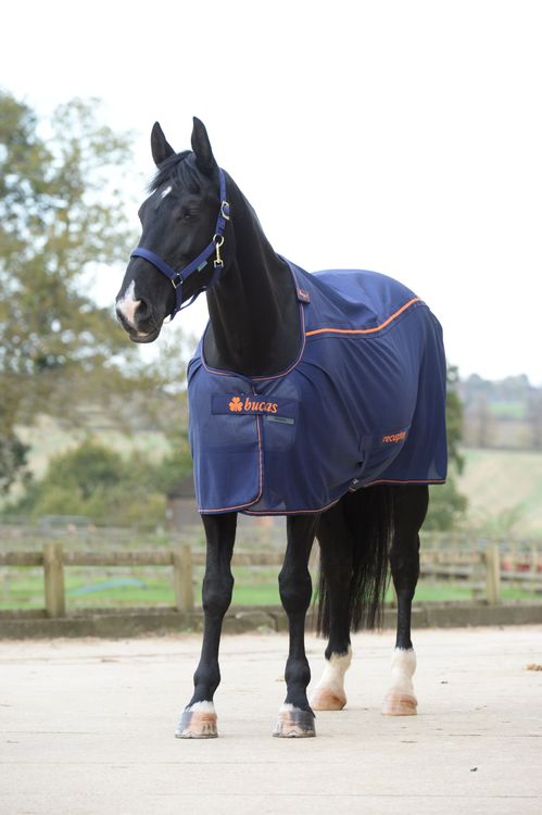Bucas Therapy Cooler Navy/Orange