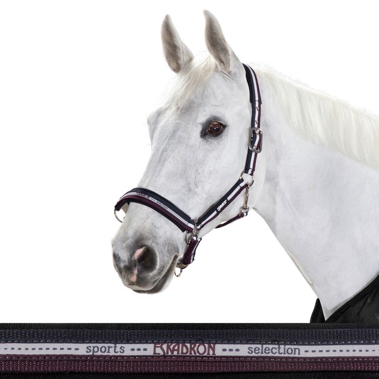 Eskadron Halfter Dornschnalle New Basic in nightblue-white-blackberry