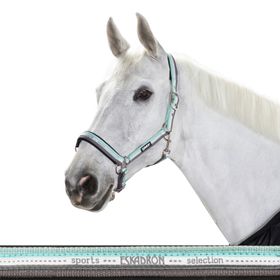 Eskadron Halfter Dornschnalle New Basic in ice-white-stone