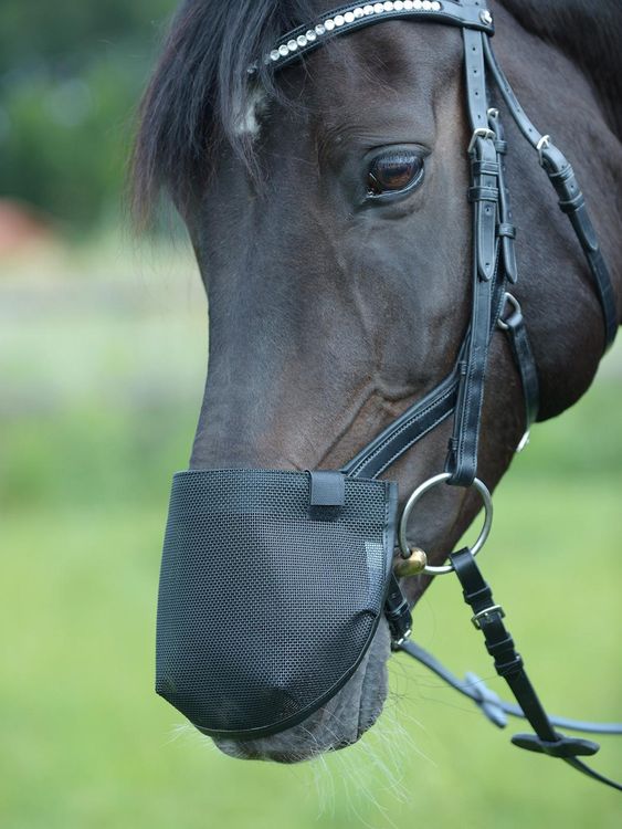 Busse Nüsternschutz FLY Professional Anatomic