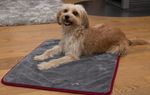 TrendPet Ruby Kuschel- und Trocknungsdecke 