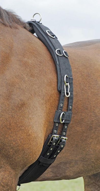 Busse Longiergurt PROFI-SOFT