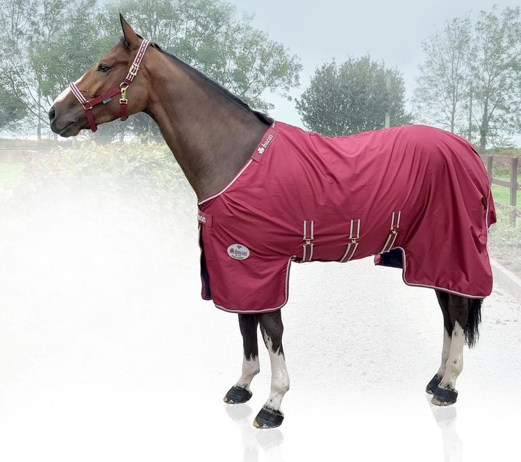 Bucas Jubliee X-Range light in Ruby