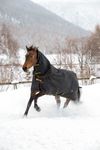 Bucas Irish Turnout light + Neck set in Black-Gold