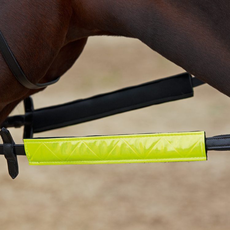 Busse Reflektor für Zügel in shine