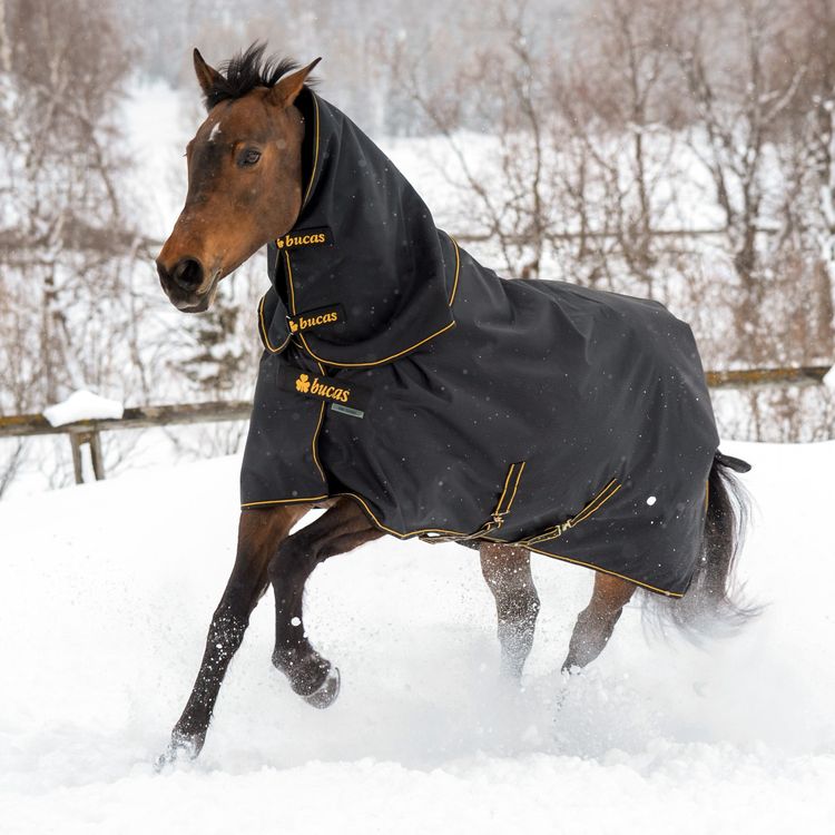 Bucas Irish Combi Neck in in black-gold