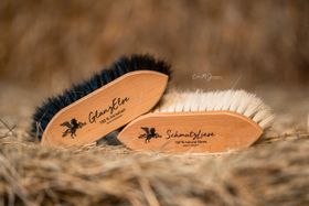 Set Bense & Eicke Wurzelbürste SchmutzLiese u. Staub- & Fellglanzbürste GlanzElse 