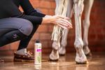Bense & Eicke Schimmel Shampoo 500 ml 