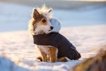 Hundemantel Teddy in marine