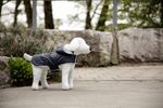 Hundemantel Seattle in grau