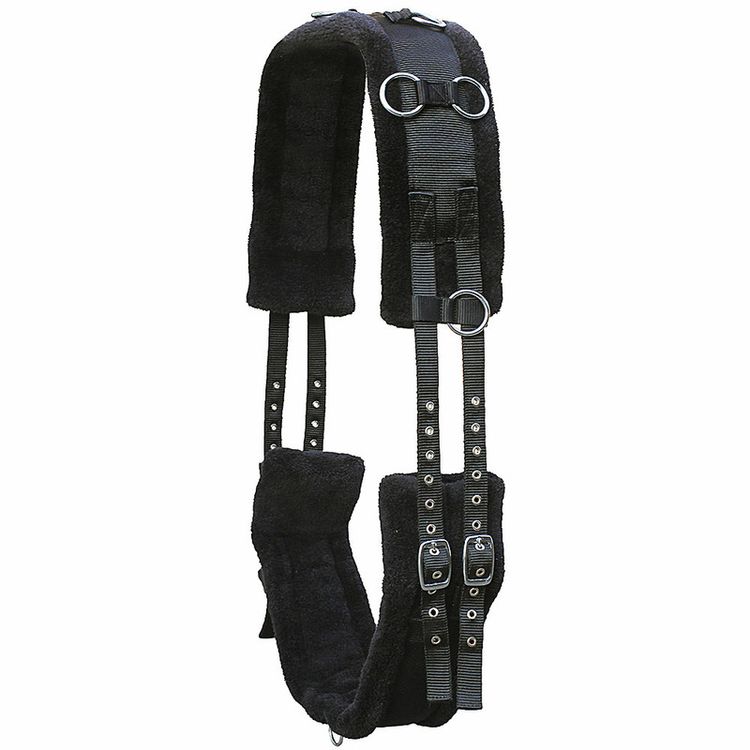 Euroriding Longiergurt Teddy Fleece