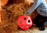 Kerbl Heuboy Futterspielball  in rot