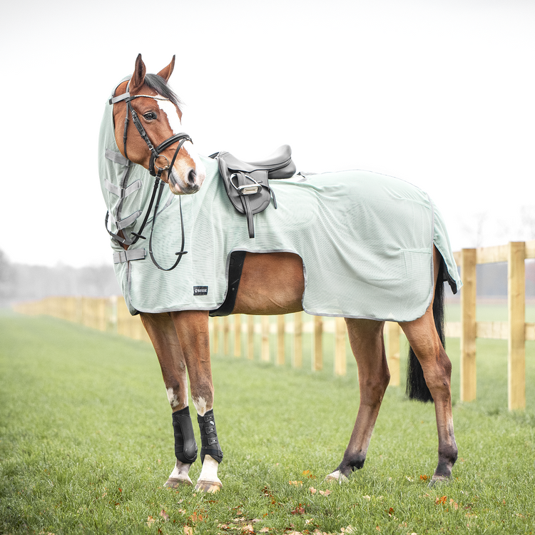 Busse Ausreitdecke Moskito III in smoke green