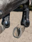 LeMieux Derby Pro Jump Tendon Boots in black