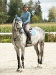 LeMieux Springschabracke Luxury Square in Ice blue