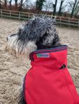 Bucas Hundemantel 50g in Crimson
