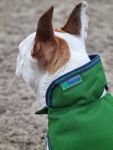Bucas Hundemantel 50g in Emerald