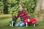 Bucas Hundemantel 300g in Crimson