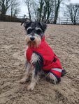 Bucas Hundemantel 300g in Crimson