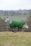 Bucas Freedom Turnout light in Emerald