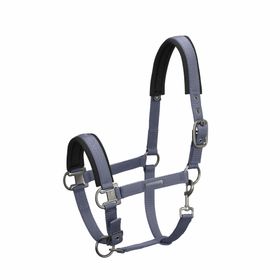 Eskadron Essence Halfter Pin Buckle in dove blue