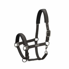 Eskadron Essence Halfter Pin Buckle in darkolive