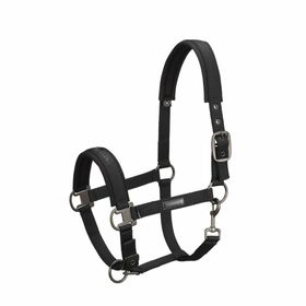 Eskadron Essence Halfter Pin Buckle in black