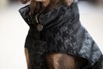 Eskadron Essence Hundedecke Velvet Stamp in black