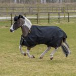 Bucas Irish Turnout Big Neck Decke 50g. in black-gold